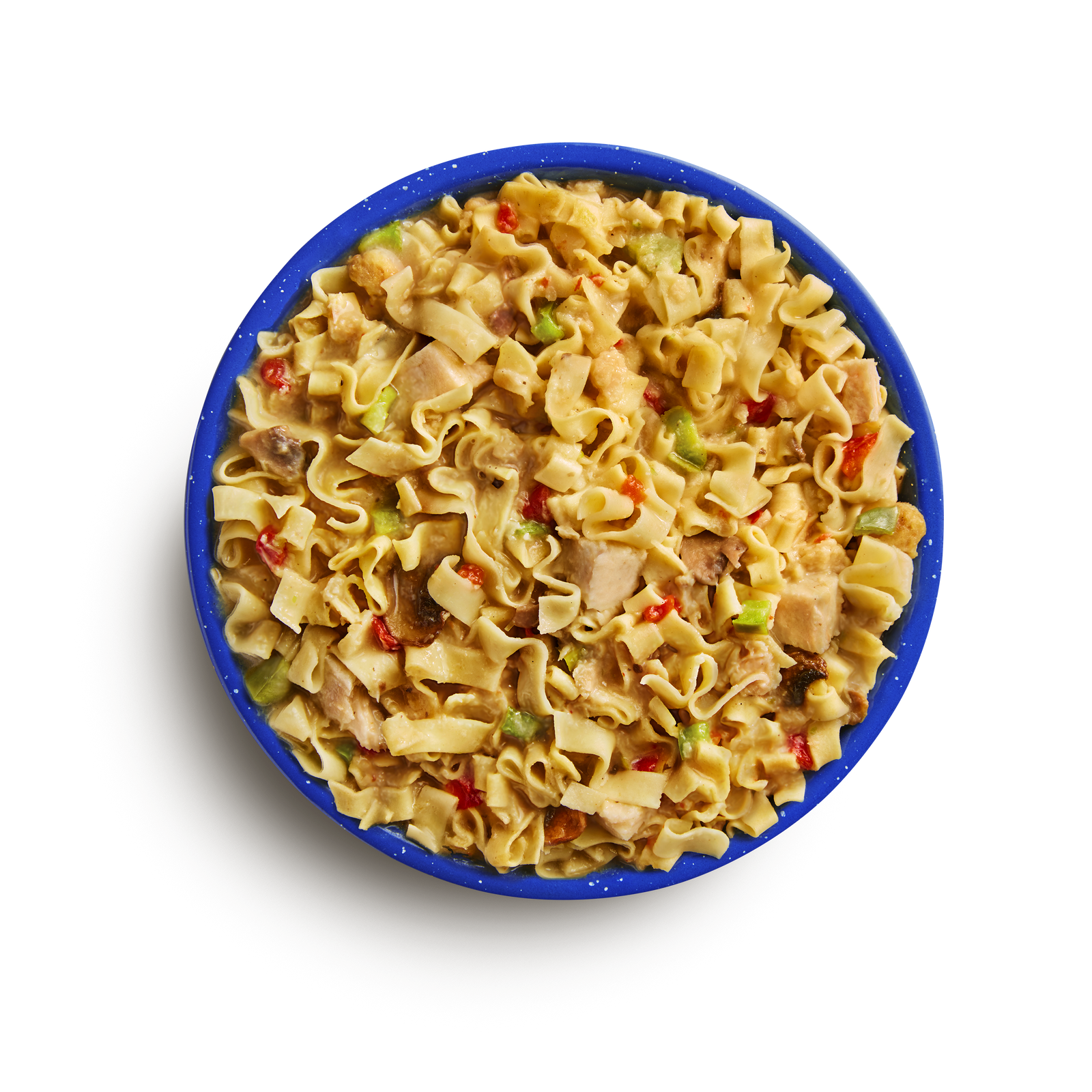 Homestyle Chicken Noodle Casserole freeze dried food - Mountain House