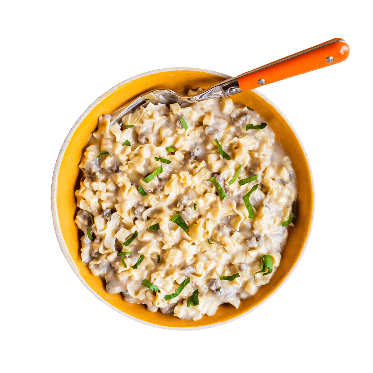 Beef Stroganoff with Noodles freeze dried food - Mountain House